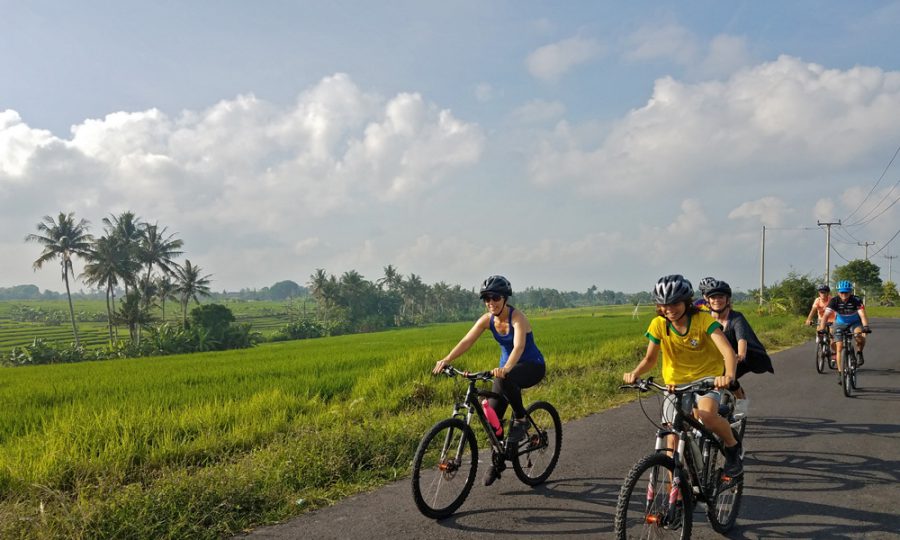 Top Bali Biking Tours